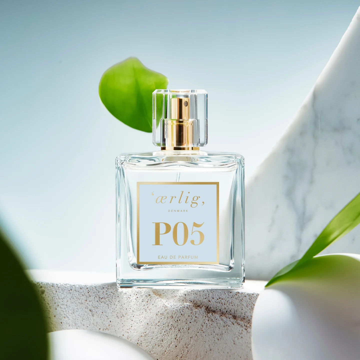 Project Details Bottom Image