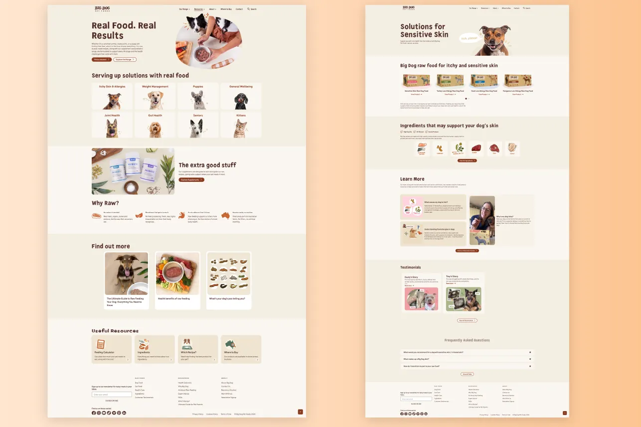 Big Dog pet foods webpage showing raw food solutions, extra supplements, sensitive skin care, resources, and testimonials.