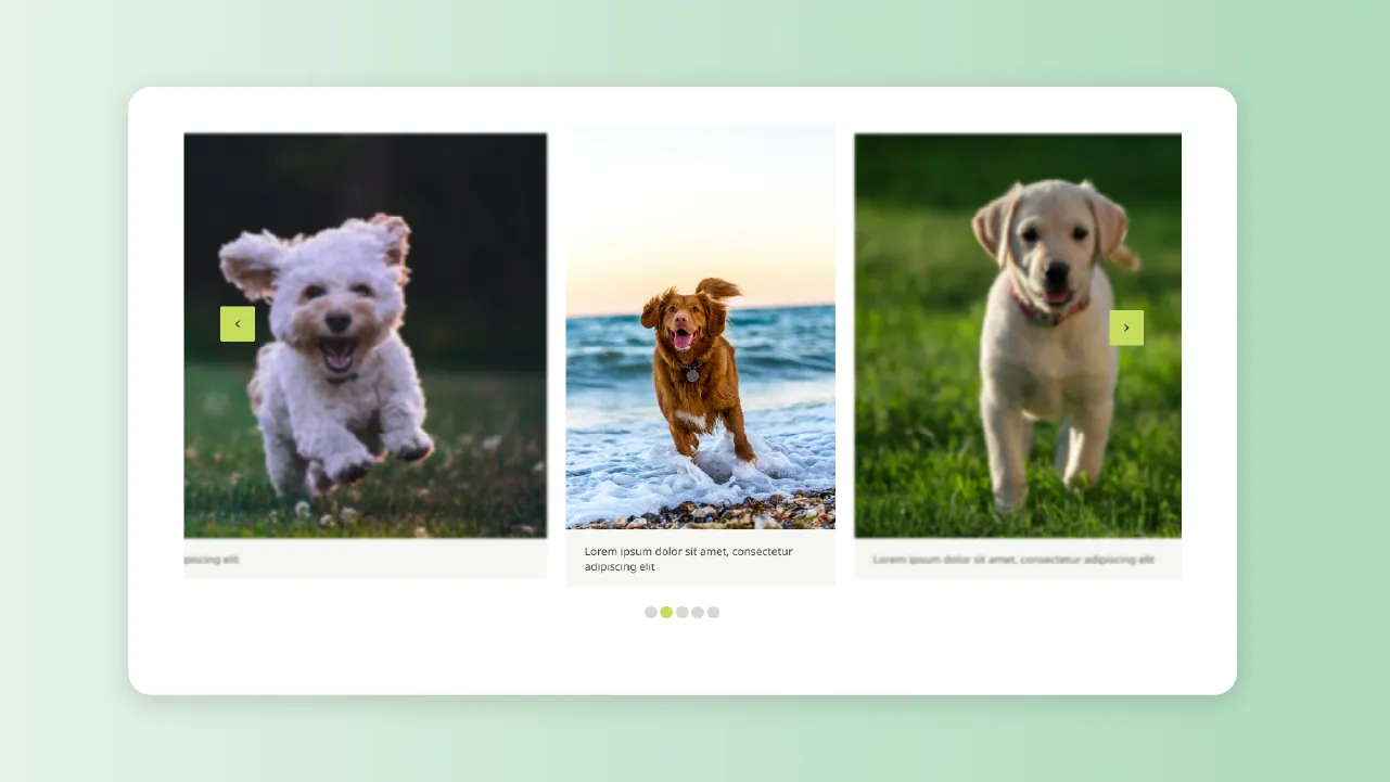 Design of an interactive image gallery.