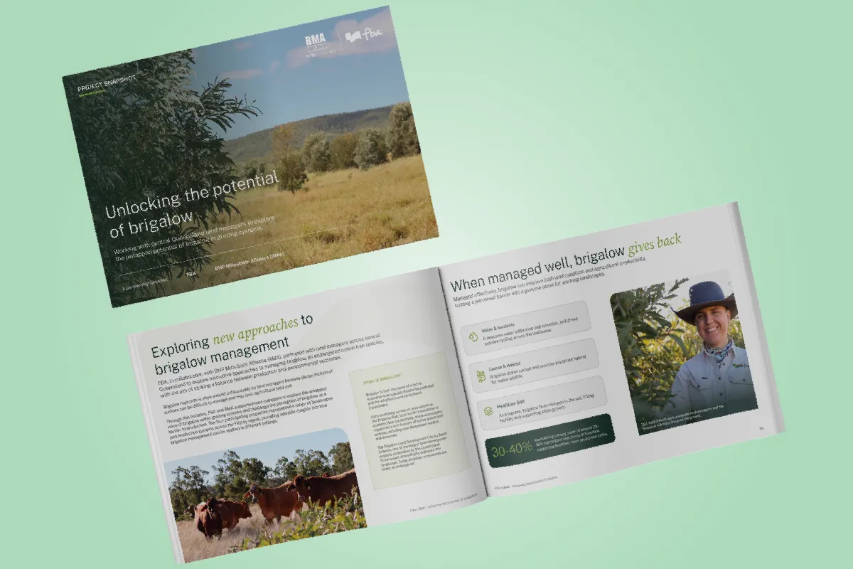 Open booklet on brigalow management with images of cattle and a person in outdoor setting.