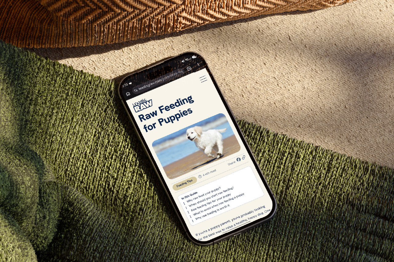 Smartphone displaying a webpage titled 'Raw Feeding for Puppies' featuring an image of a running white puppy on a beach, with a section of feeding tips and a list of guide topics visible, resting on textured green and beige fabric surfaces.