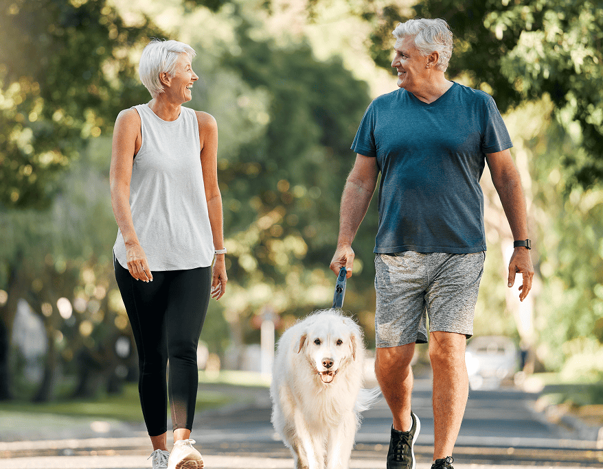 Older man and woman walking a white dog on a tree-lined street, smiling at each other.