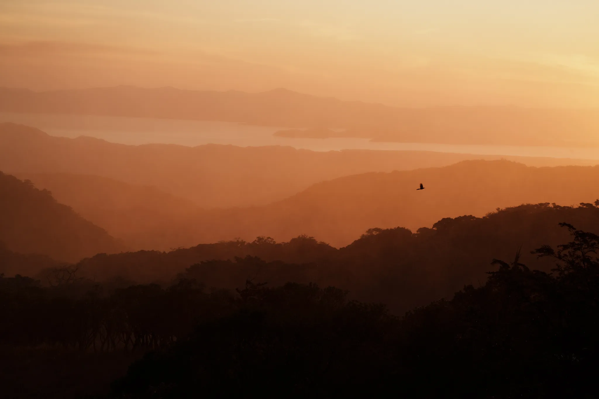 Documentary wedding photographer landscape of layered mountain silhouettes at golden sunset with a lone bird in flight