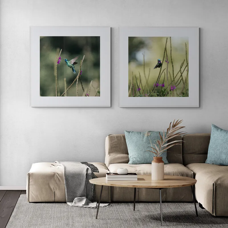 Two framed nature prints of hummingbirds displayed on a living room wall above a neutral sofa