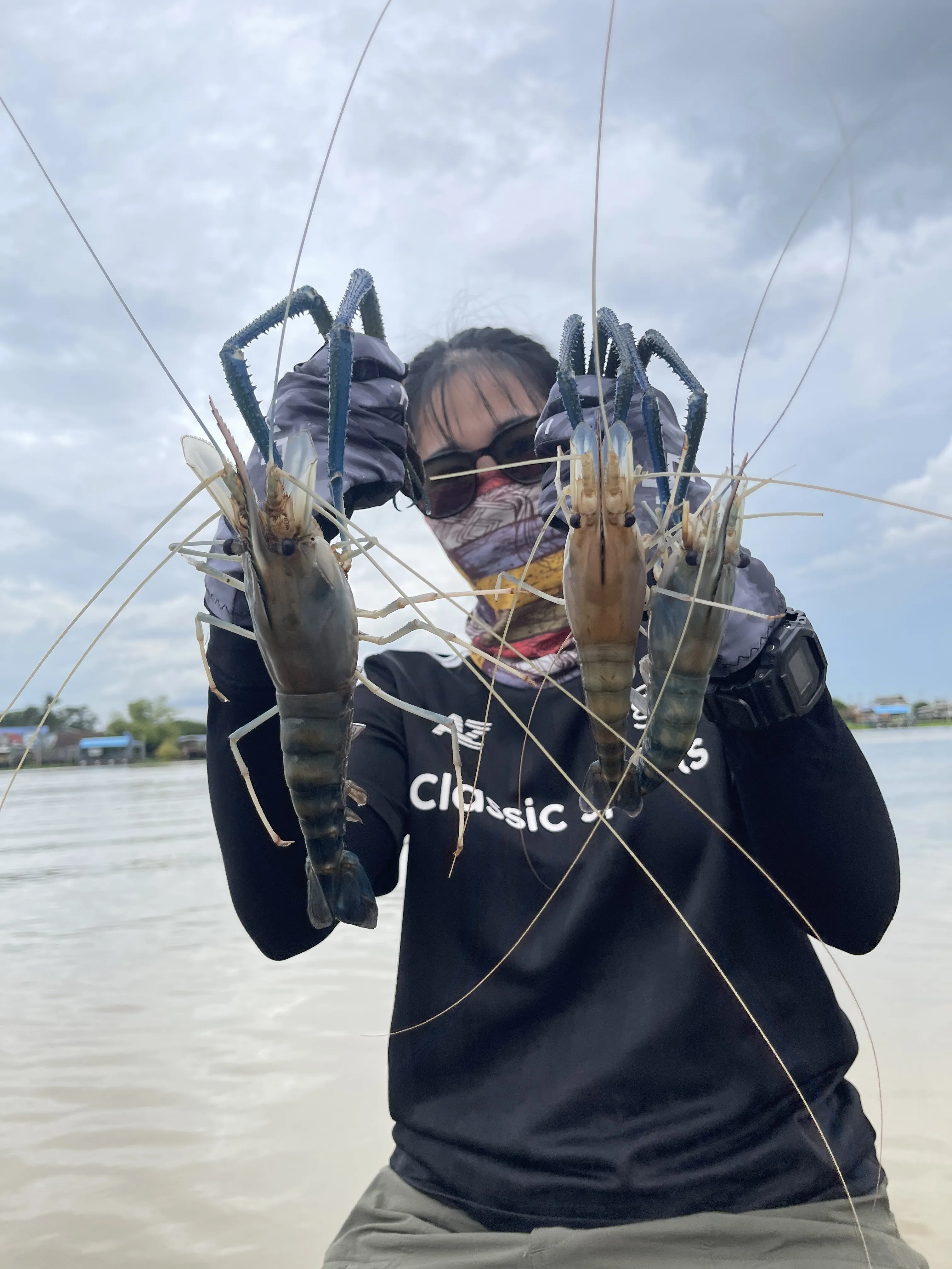 A few good river shrimp caught while fishing from a small boat