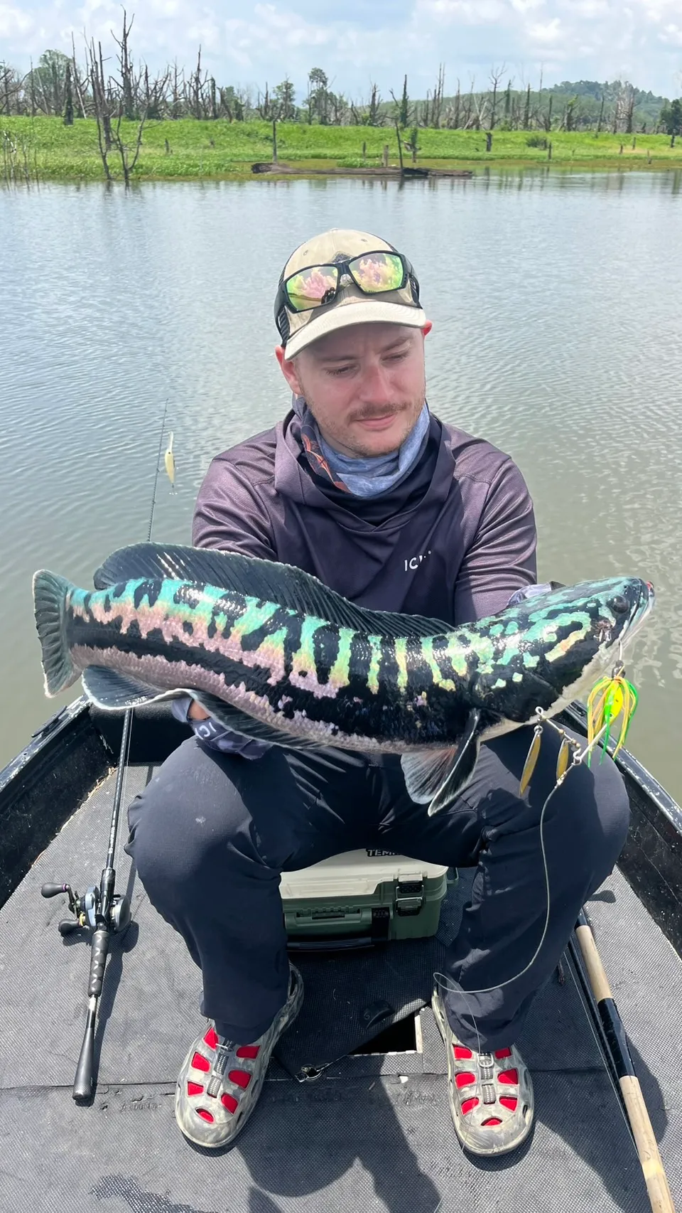 The spinnerbait that produced most of the 10 giant snakehead caught on this trip