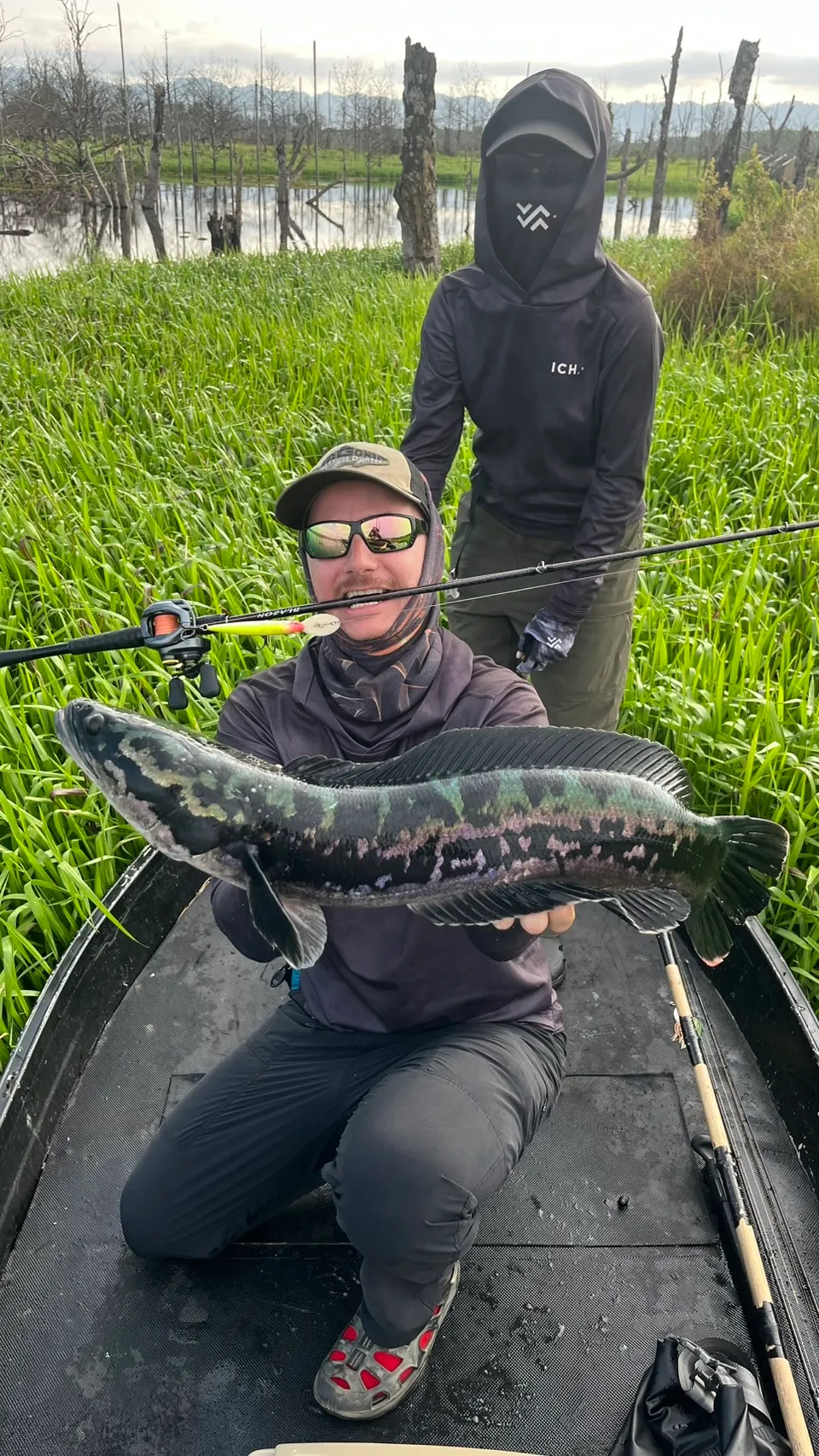 DUO Realis Fangbait 120DR lure used for giant snakehead fishing