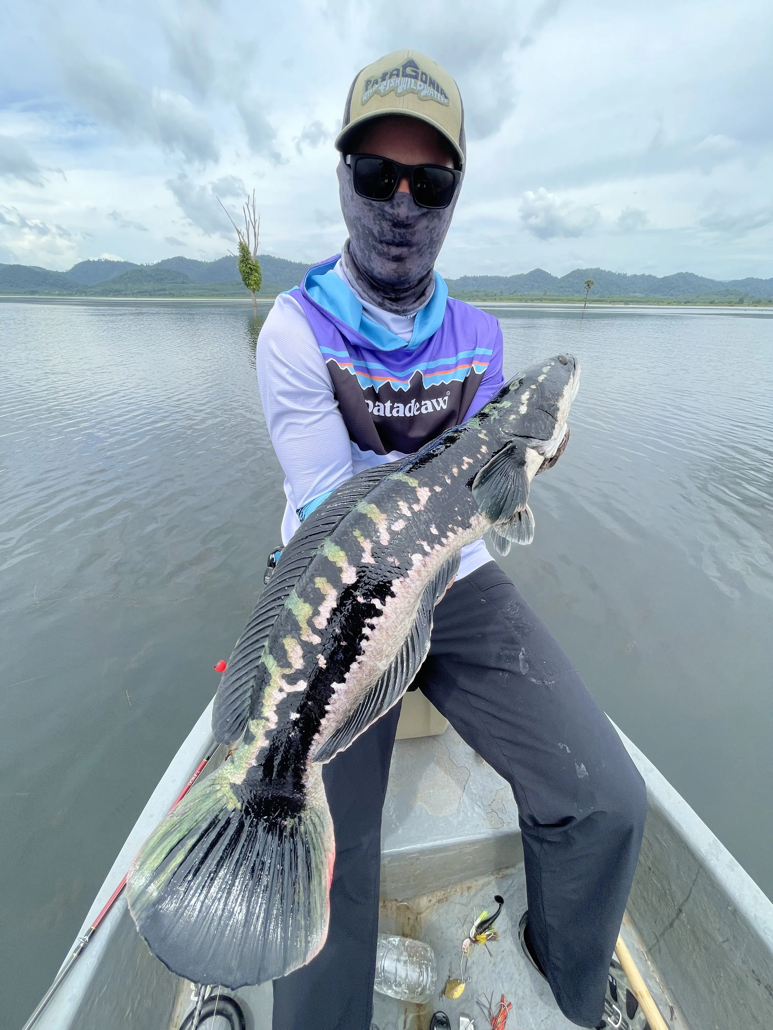 A mama giant snakehead caught on a spinnerbait after a long fryball session