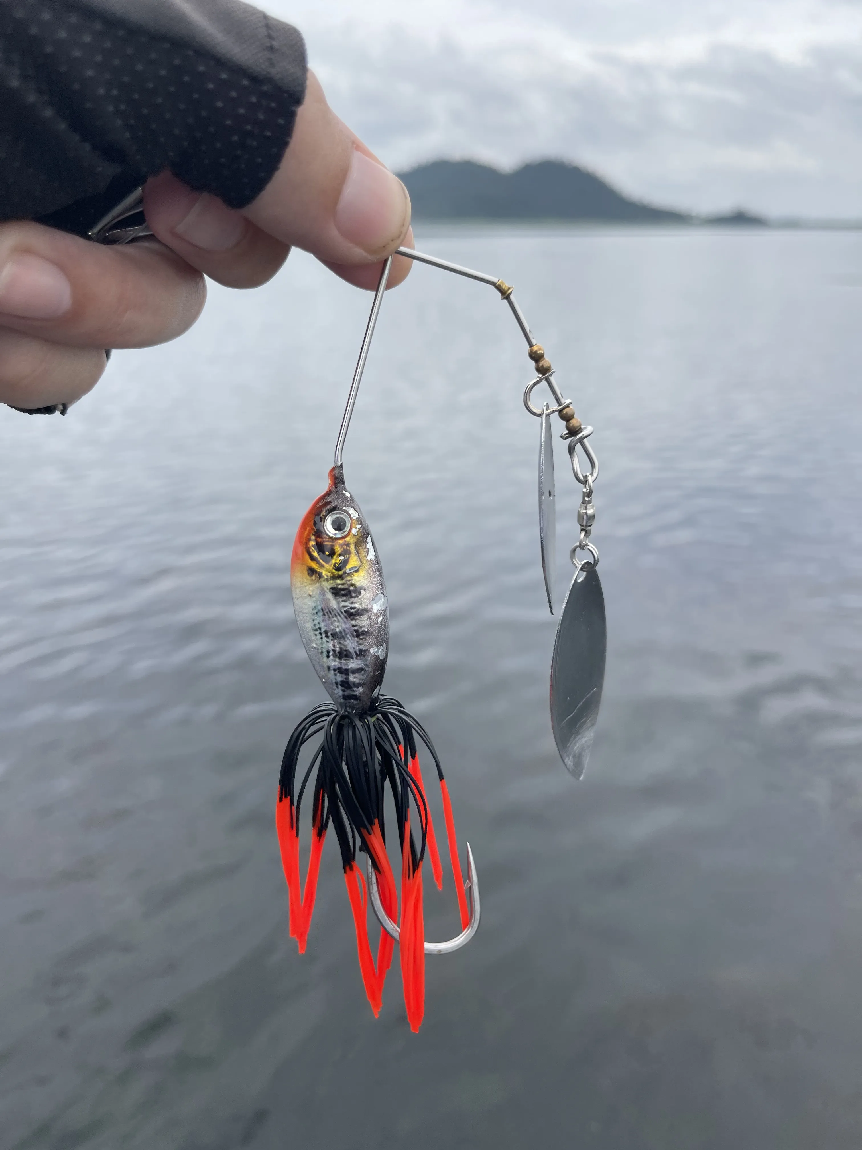 Spinnerbait used to target a mama giant snakehead protecting a fryball