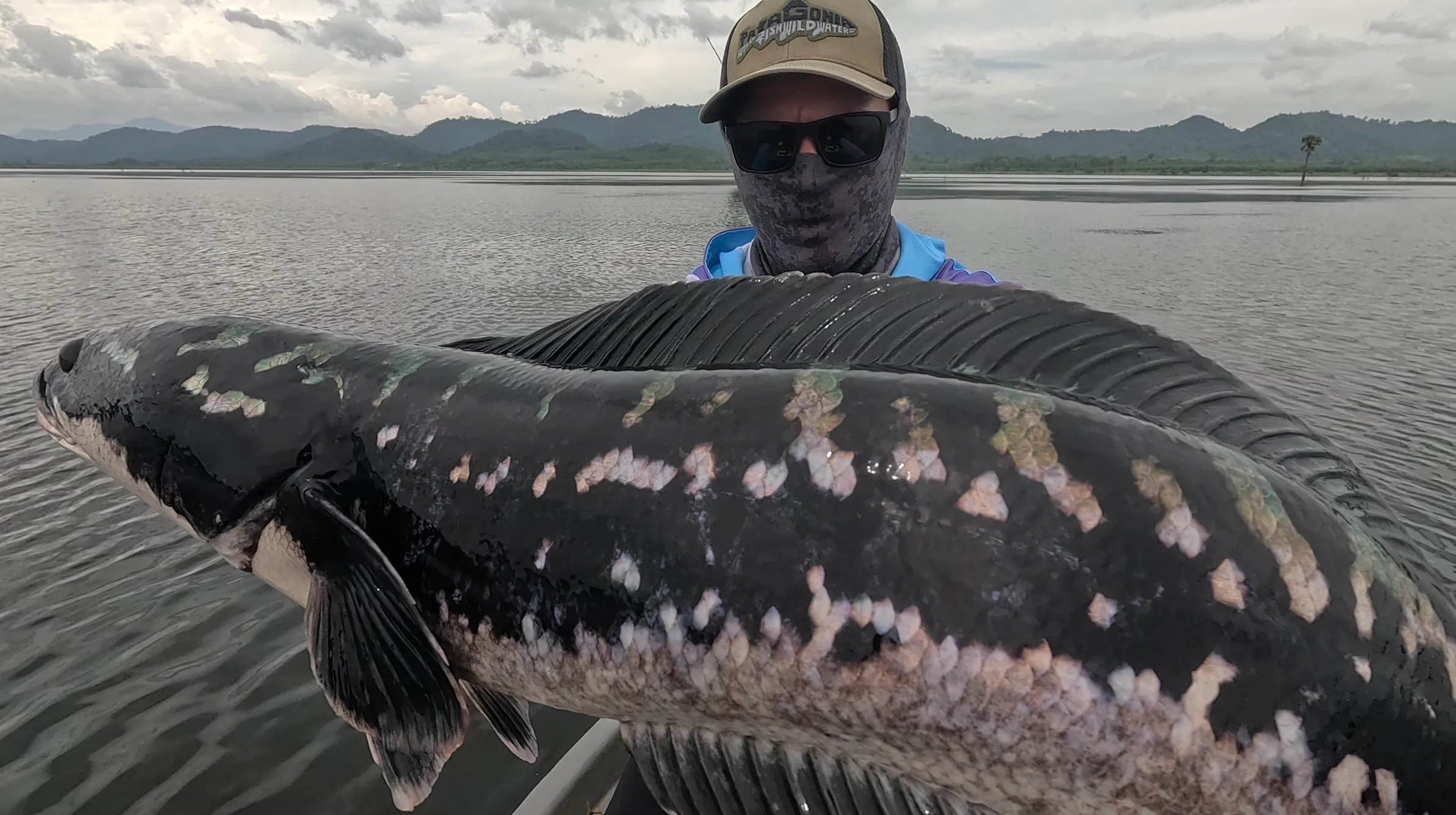 Staying locked in on a giant snakehead fryball until the mama finally committed