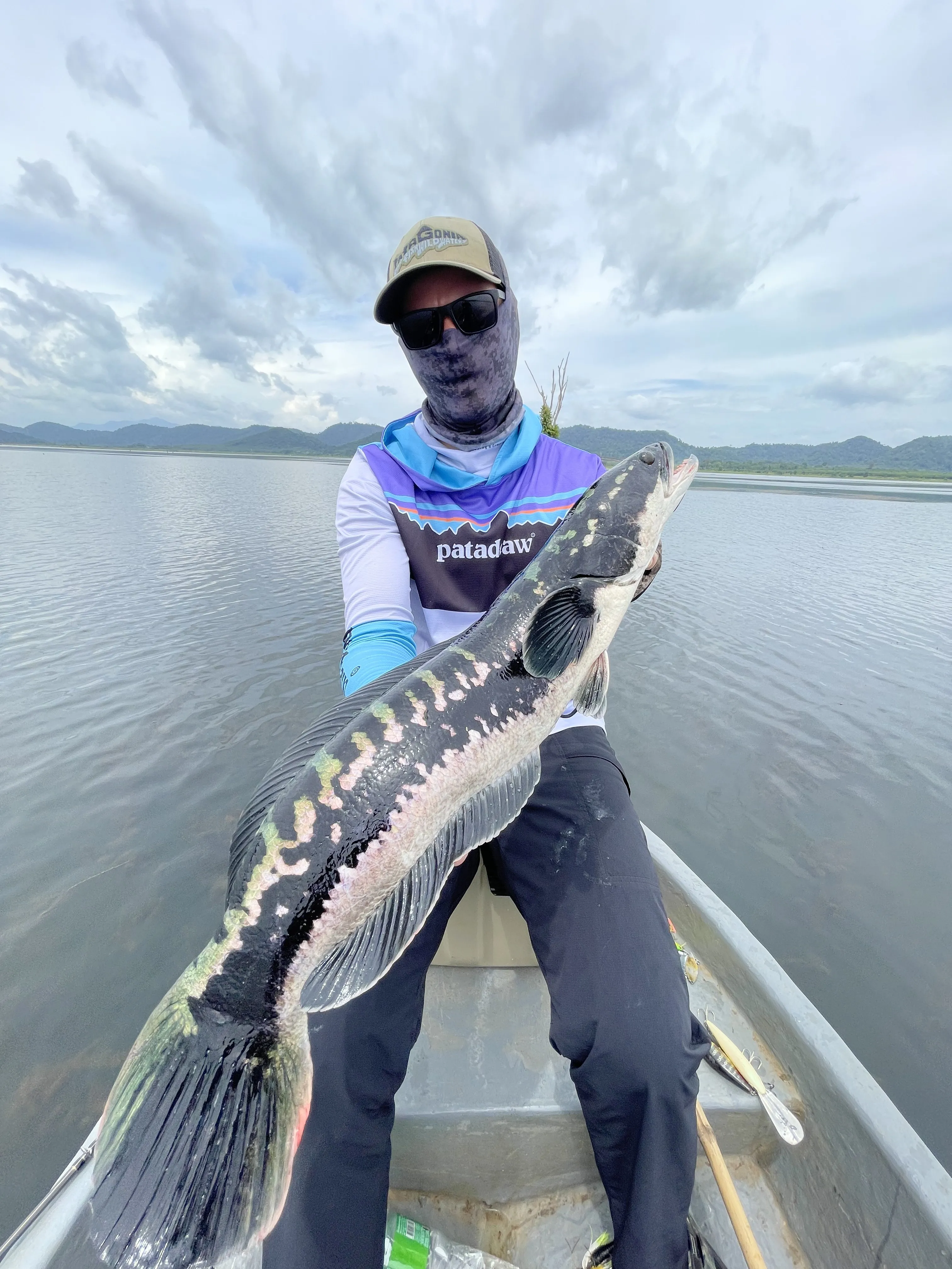 Vertical spinnerbait drop working through grass to reach a mama giant snakehead