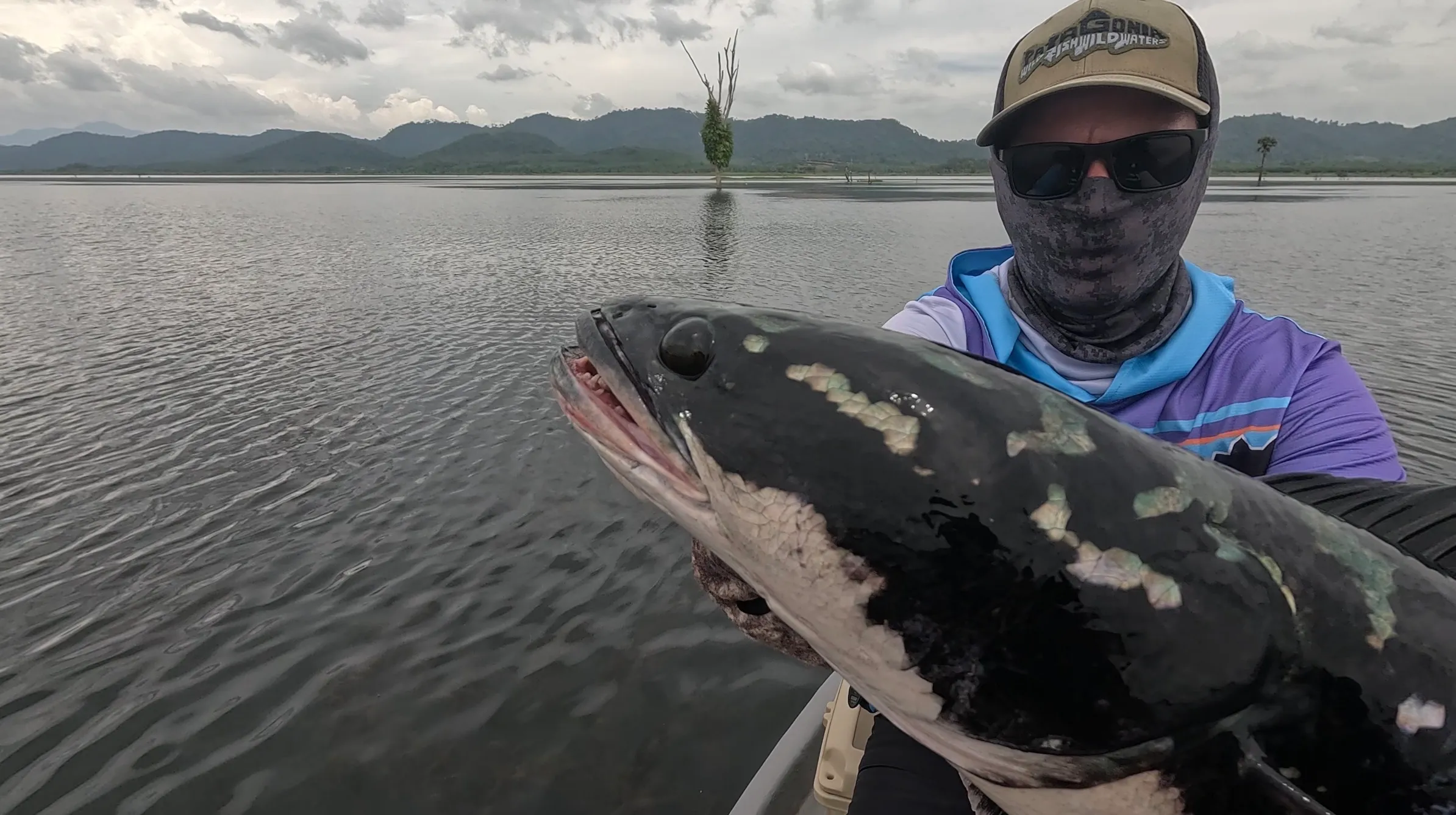 The mama giant snakehead that bit the spinnerbait roughly ten times before being hooked