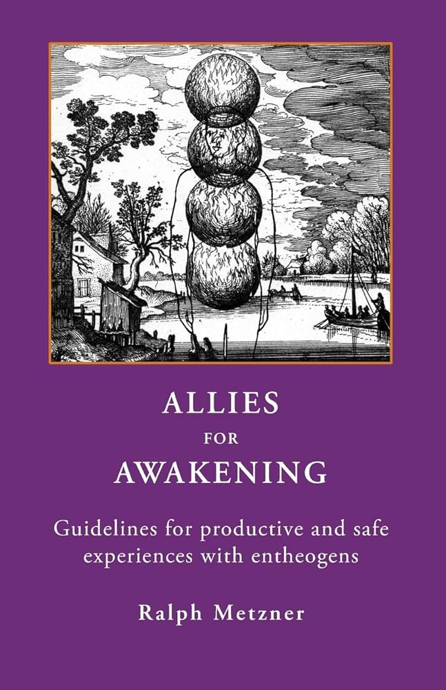 Cover of Allies for Awakening by Ralph Metzner.
