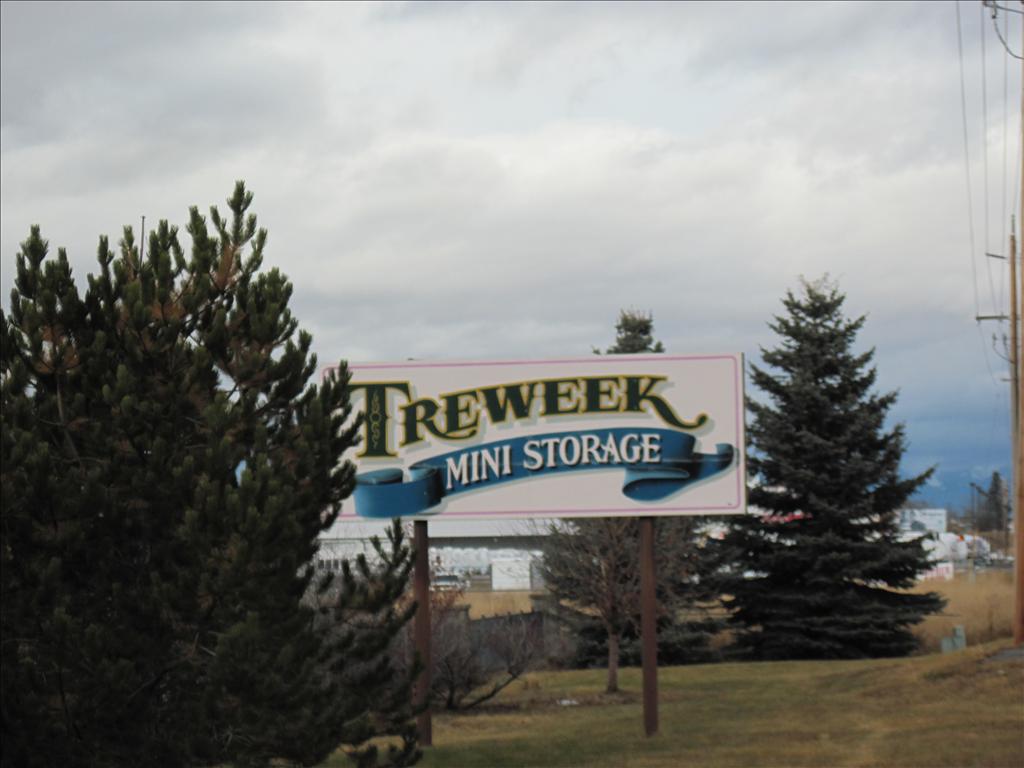 Outdoor sign reading 'Treweek Mini Storage' with trees and cloudy sky in the background.