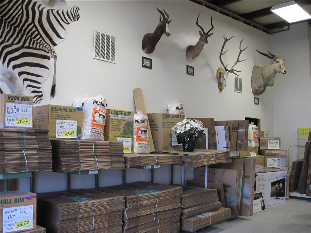 Room with packed moving boxes and stacking cardboard sheets under mounted taxidermy animal heads and zebra wall decoration.
