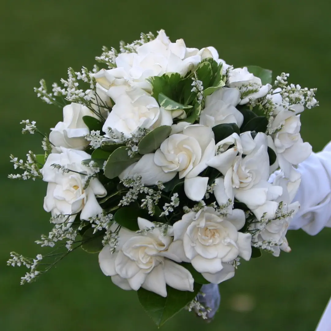 Three adults exercising in a modern gym, holding dumbbells in a high plank position while performing renegade rows; the person in front pulls a dumbbell upward as the others mirror the movement behind them.