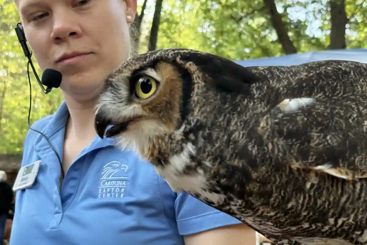 Staff member holding an owl during the Breakfast with the Birds event at Carolina Raptor Center