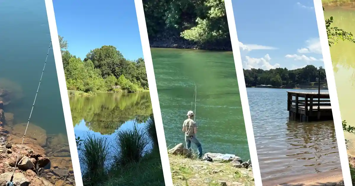 Lake Norrman water a person fishing, and Mountain Island Lake