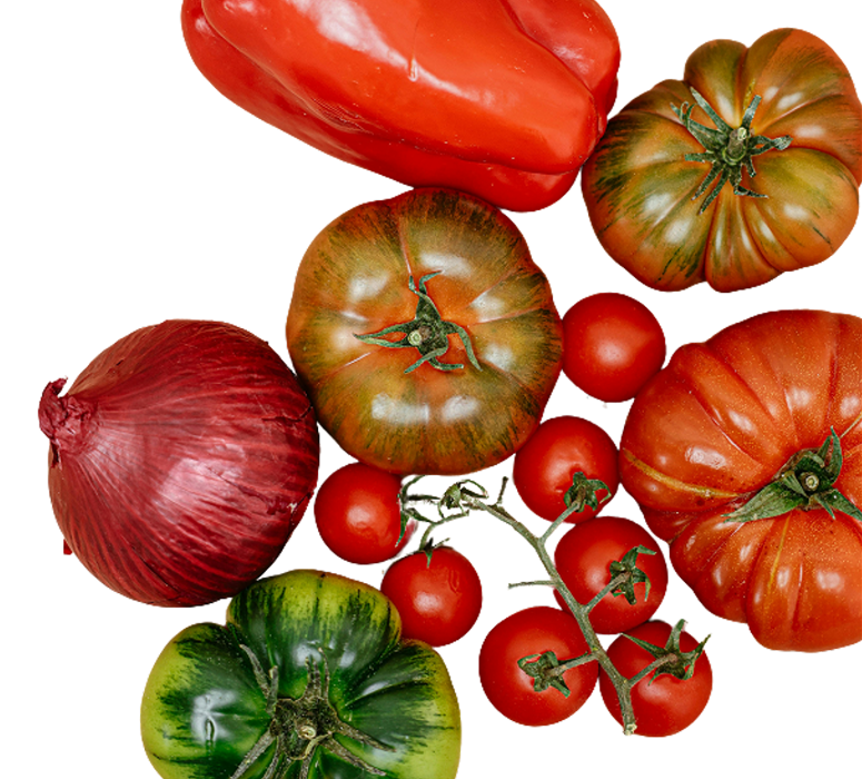 Assorted fresh vegetables including red onion, green and heirloom tomatoes, cherry tomatoes on the vine, and a red bell pepper.