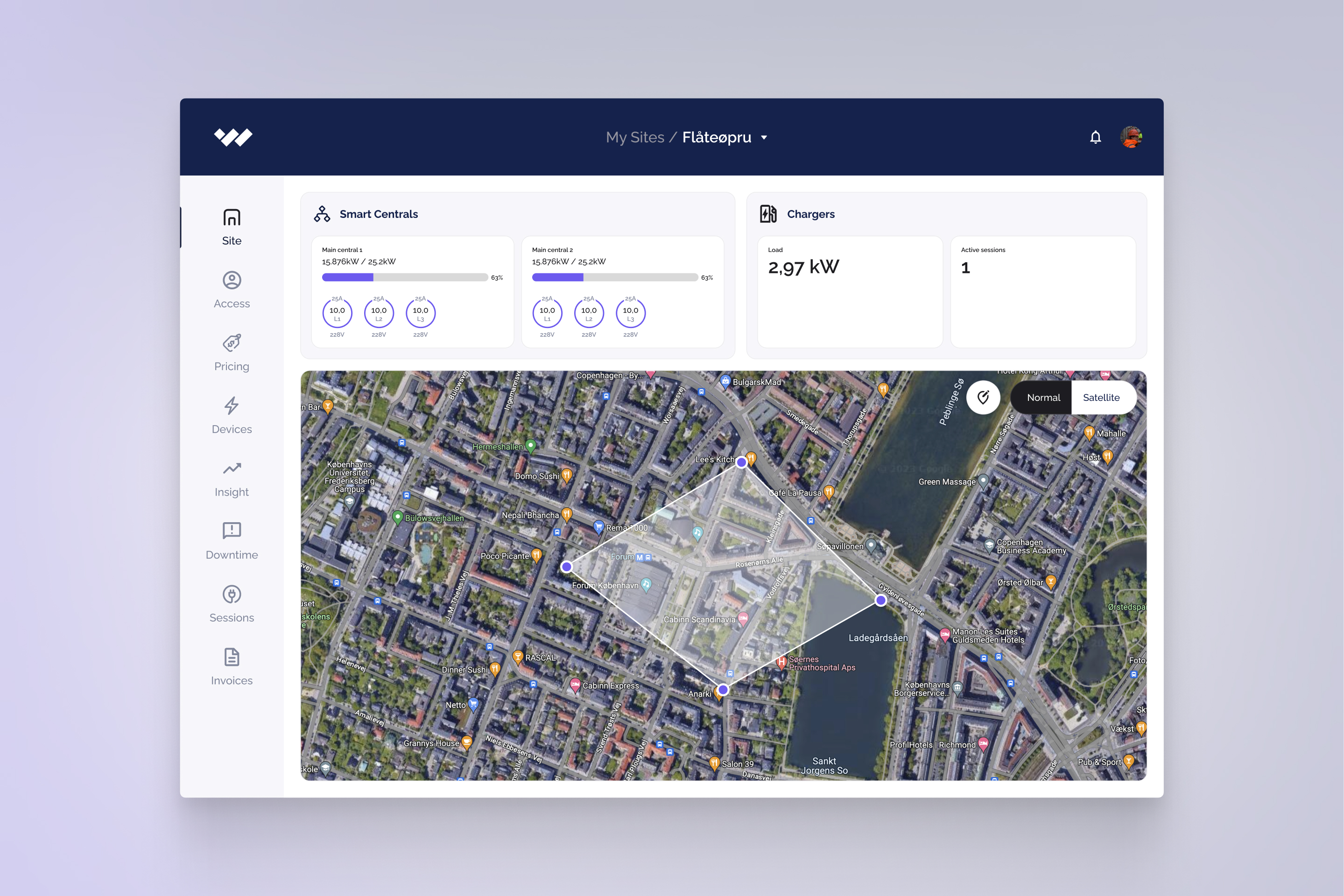 Eksempelbilde av markering av et arbeidsområde med satellit-versjon i kartet i programmet laget for Naeva.