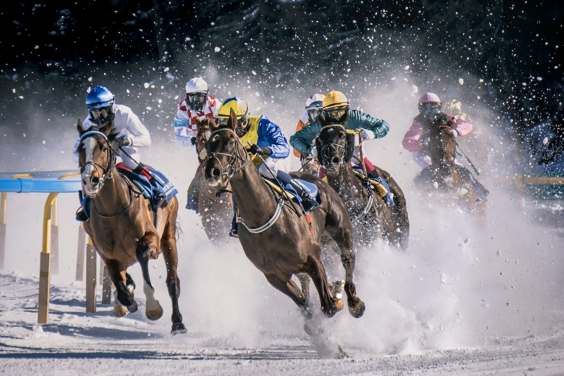 Dramatic horse race in snow