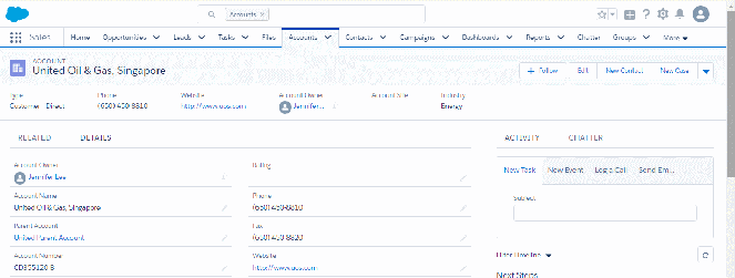 salesforce lightning account view