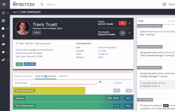 ambition profile dashboard