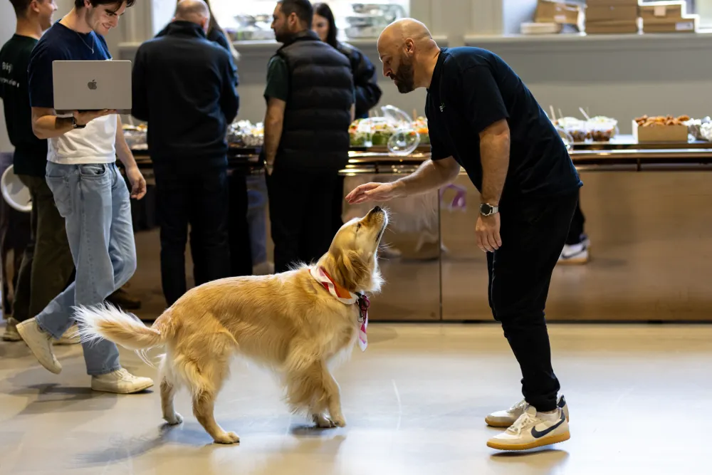 A team member patting a golden retriever in the Bridgit office