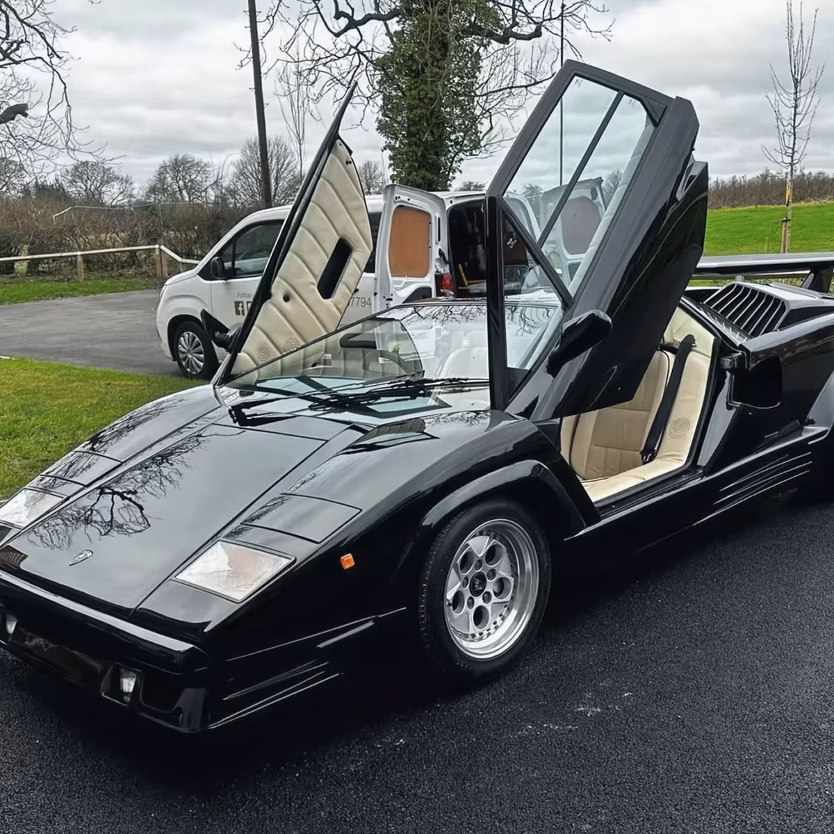 Car with doors opening