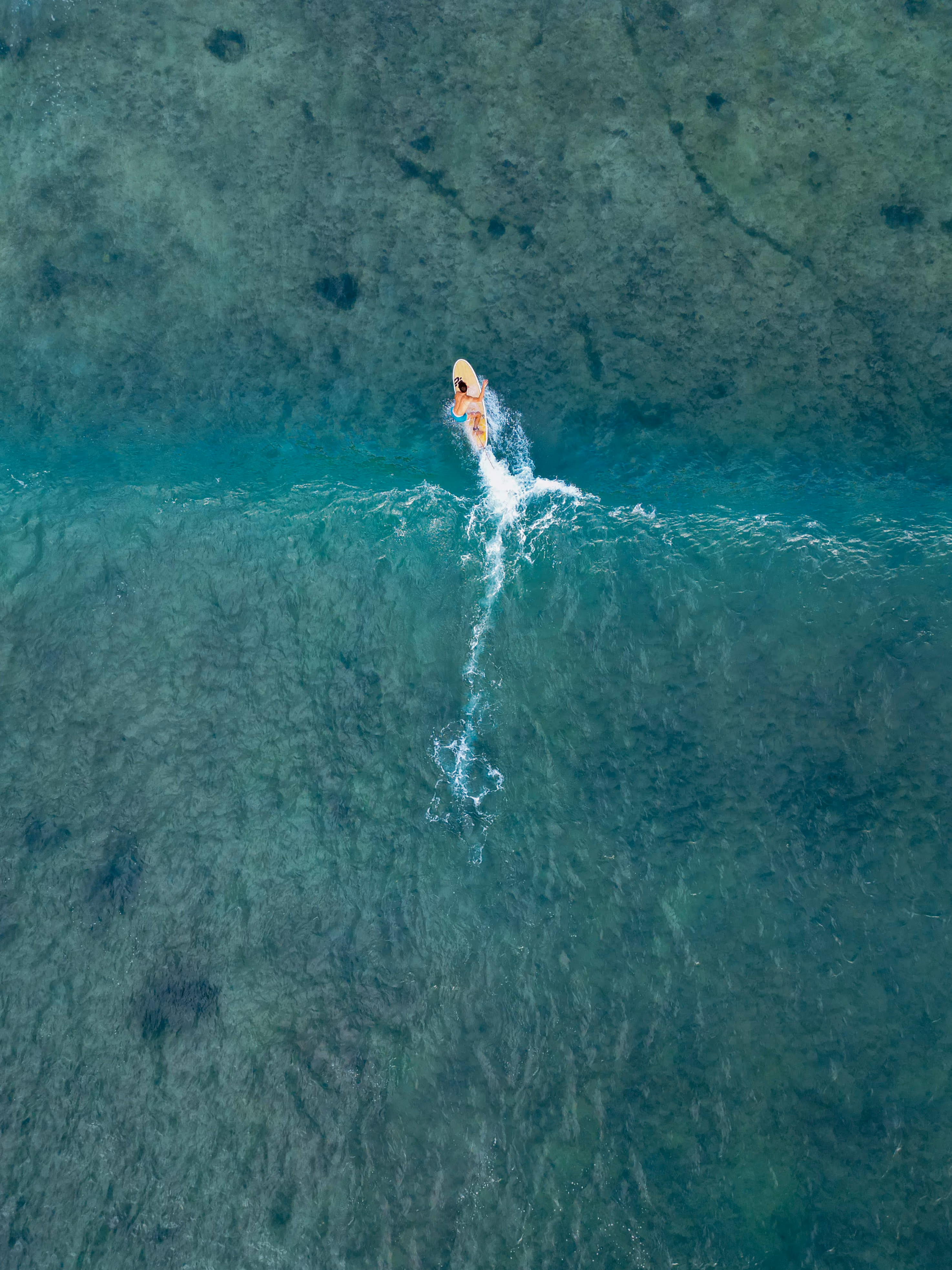 Surfeur remontant une vague dans une mer aux eaux claires vues de dessus.
