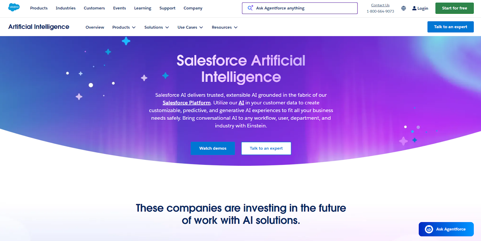 Salesforce Einstein