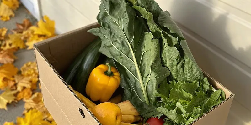 Fresh grocery delivery box on Ontario doorstep
