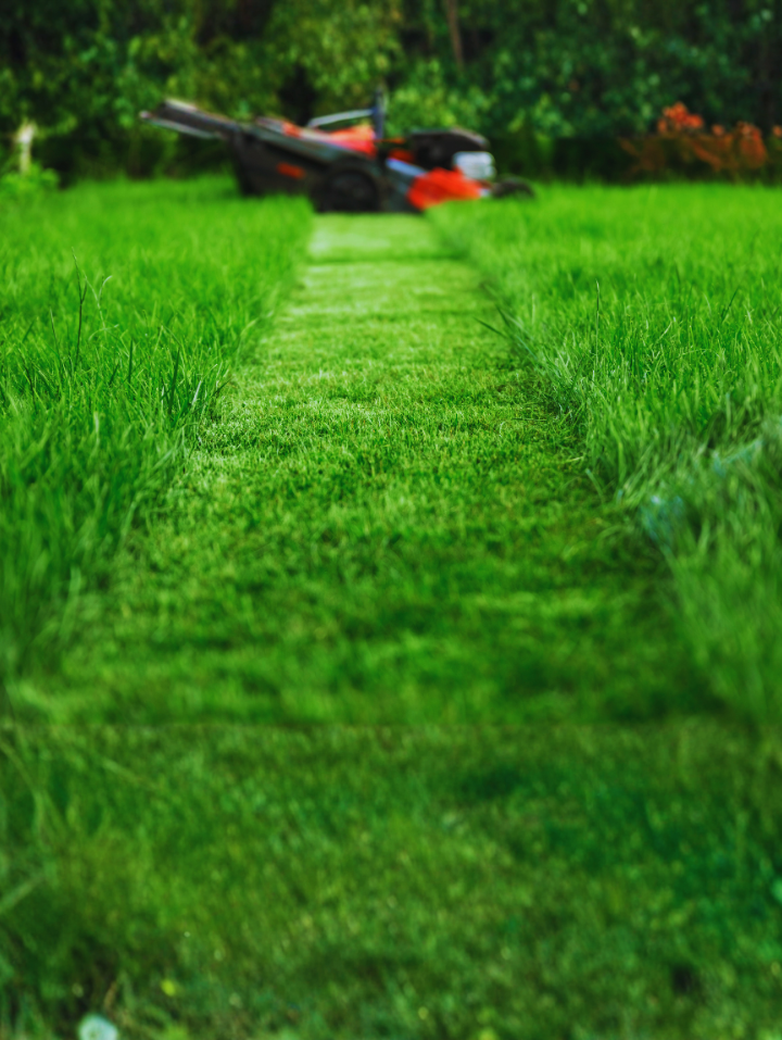 Entretien de gazon, entretien espace vert, tondre pelouse et tondre jardin