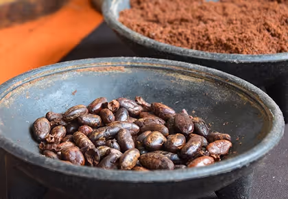 Artisanal bowls containing raw cacao beans and cocoa powder at Hacienda La Danesa.