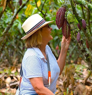 A woman examining ripe cocoa pods during a tour at Hacienda La Danesa.
