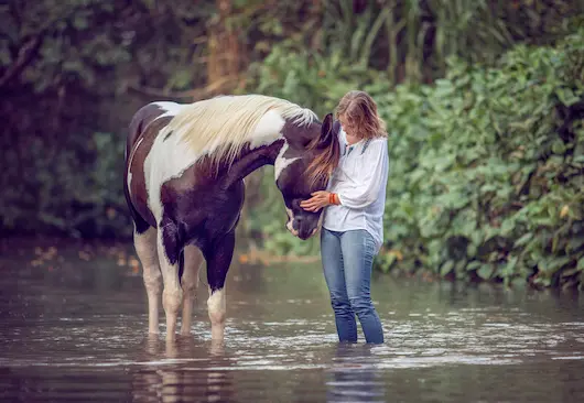 A woman in jeans and a button-up shirt gently strokes a brown and white pinto horse standing in a shallow stream.