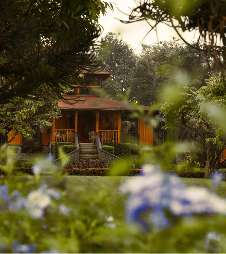 Peaceful view of a wooden cottage nestled within the lush tropical gardens of Hacienda La Danesa, framed by wildflowers and verdant trees.