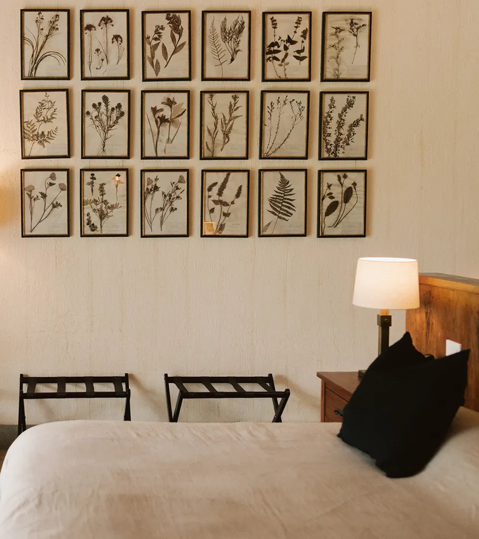 An elegant guest room at Hacienda La Danesa hotel, featuring a gallery wall of 18 framed botanical pressed plants above a cozy bed with a warm bedside lamp.