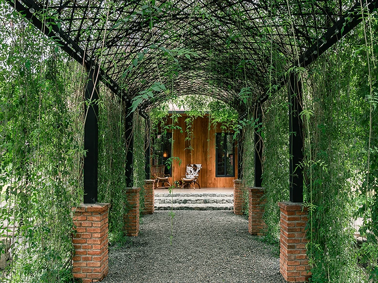 Lush green vine tunnel leading to the Garden Cottage entrance at Hacienda La Danesa