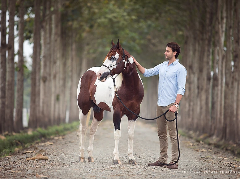 Man petting a pinto quarter horse on a tree-lined path at Hacienda La Danesa