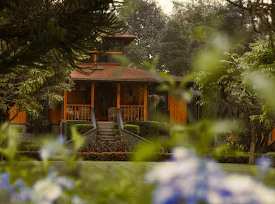 Traditional wooden private residence at Hacienda La Danesa framed by lush tropical gardens with vibrant flowering shrubs in the foreground
