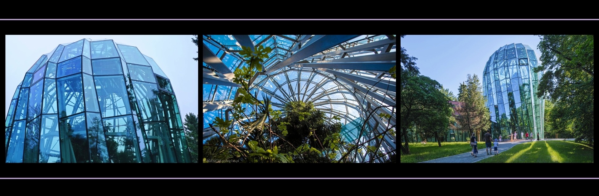 Palmiarnia w Gdańsku