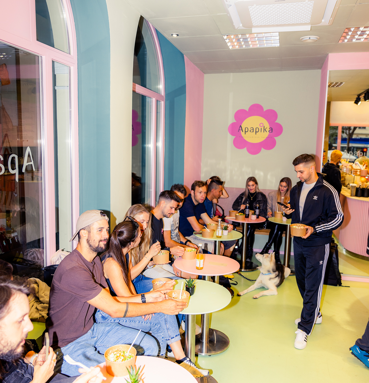 Menschen sitzen an Tischen in einem hellen Café mit pastellfarbenen Wänden und genießen Essen aus Pappbehältern, während ein Mann in Trainingsanzug mit einem Hund im Innenraum steht.