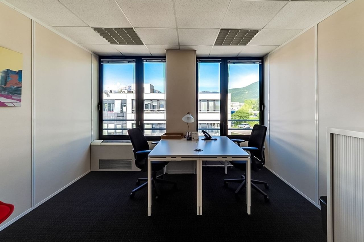 Vue d'ensemble – 29 Boulevard des Alpes