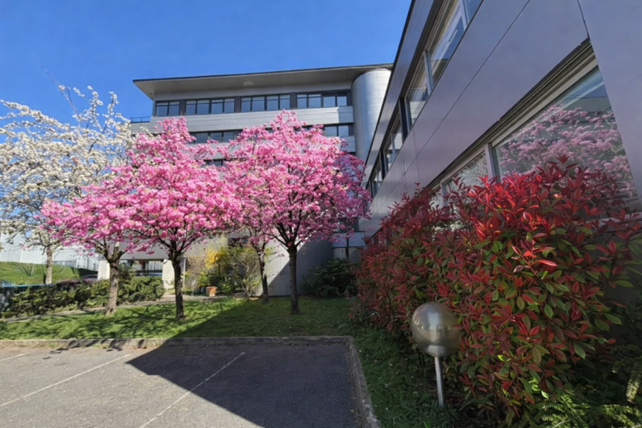 Intérieur centre de coworking – Vélizy-Villacoublay