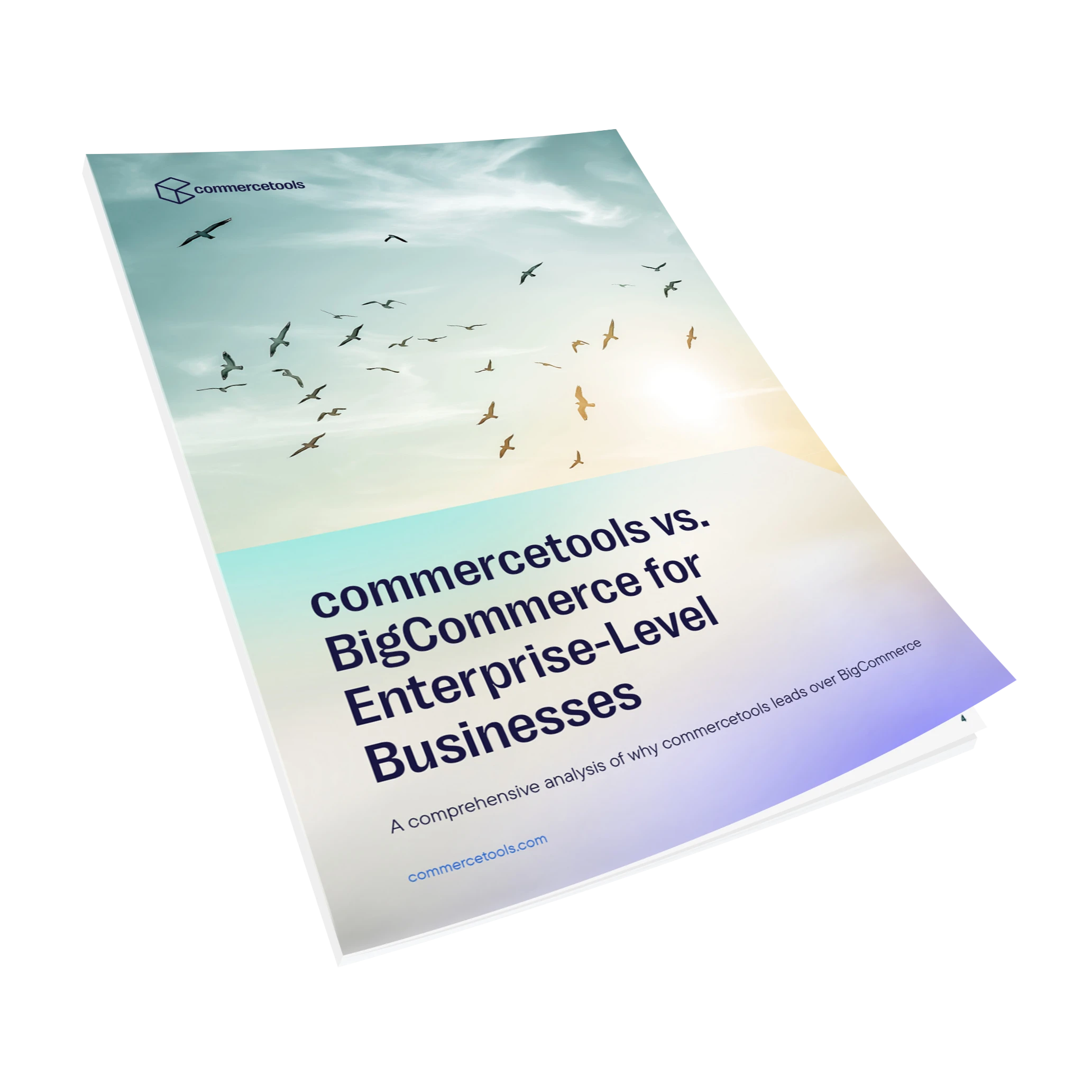 Cover of a report titled "commercetools vs. BigCommerce for Enterprise-Level Businesses" with a background of birds flying in a cloudy sky.