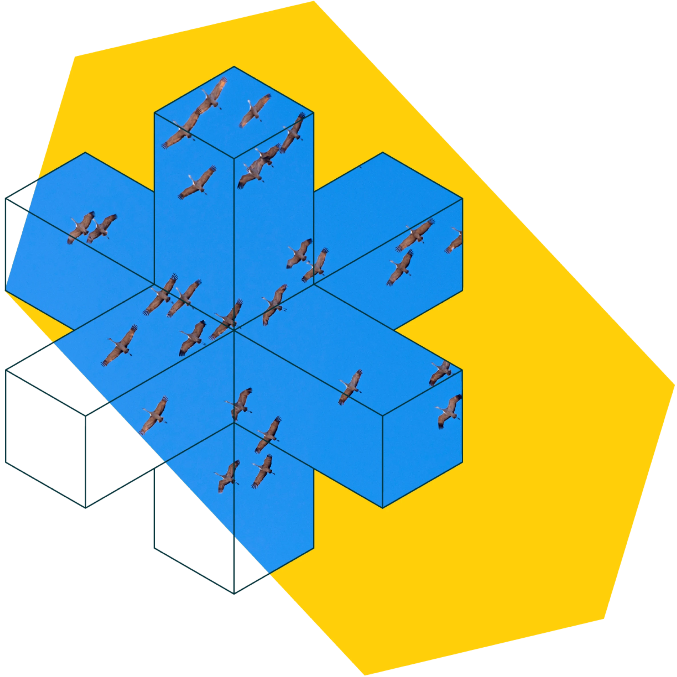 Blue sky with flying birds depicted on six connected hexagonal prisms outlined in black, set against a yellow irregular hexagon background.