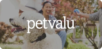 Happy woman playing outdoors with a white dog and a blue ball, with Petvalu logo overlay.