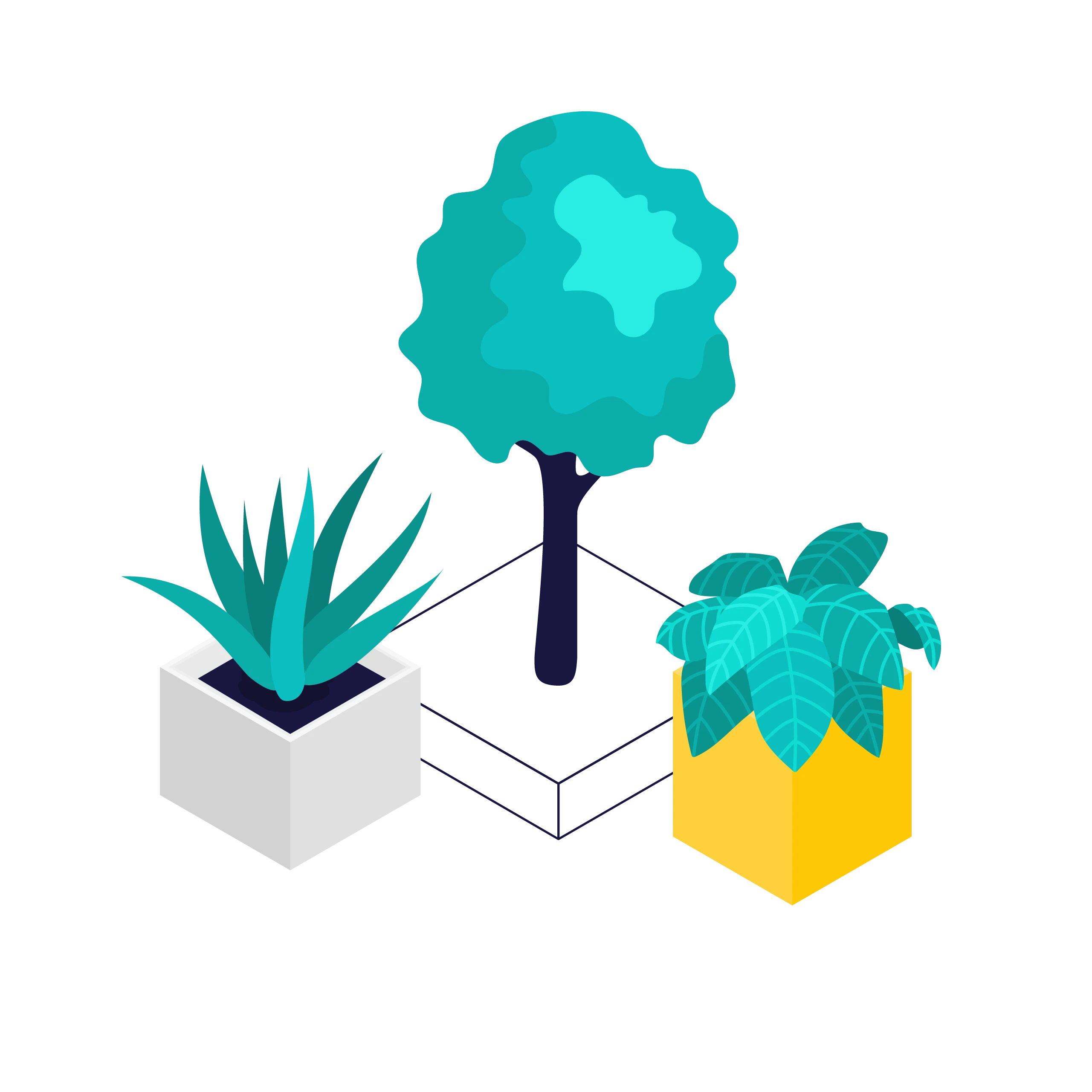 Digital illustration of three potted plants including a tree in the center, a spiky-leafed plant in a white pot on the left, and a broad-leafed plant in a yellow pot on the right.