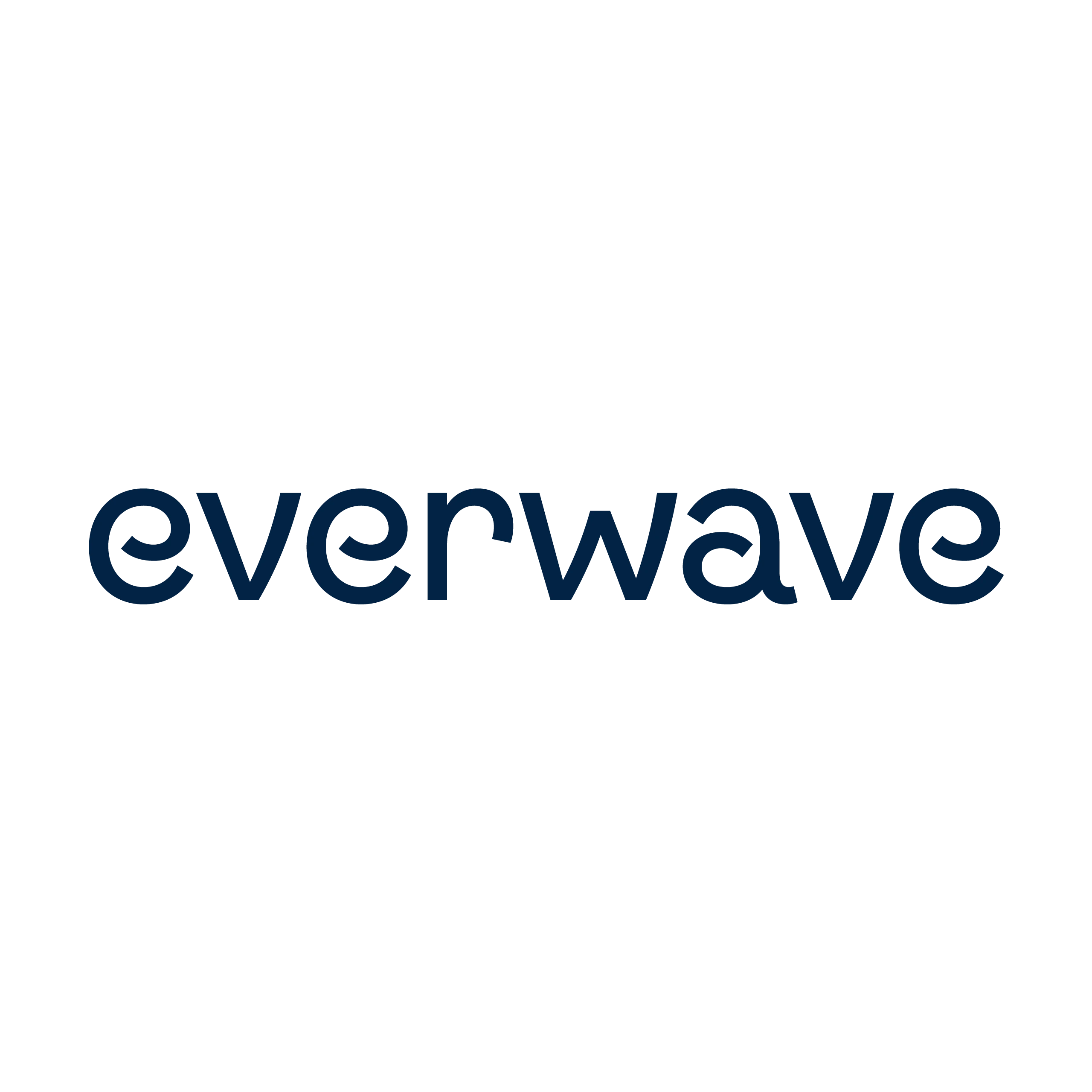 Everwave logo with stylized dark blue text on a white background.